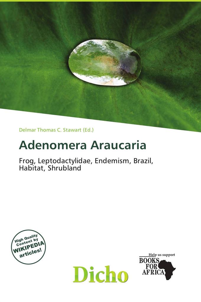 Adenomera Araucaria