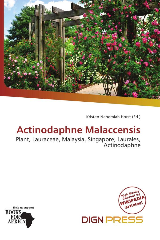 Actinodaphne Malaccensis