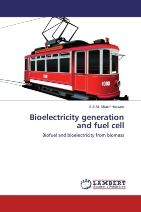 Bioelectricity generation and fuel cell
