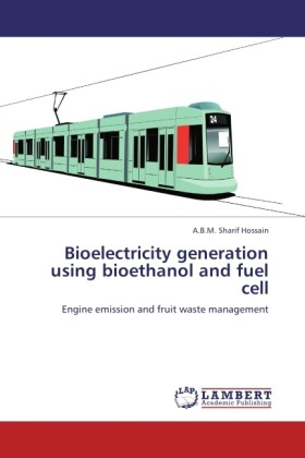 Bioelectricity generation using bioethanol and fuel cell