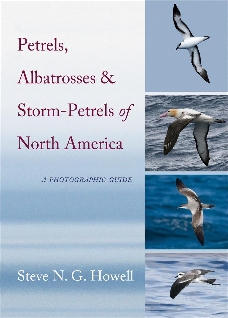 Petrels Albatrosses and Storm-Petrels of North America