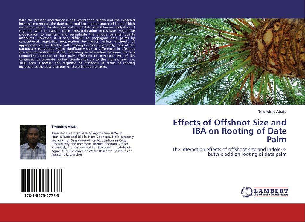 Effects of Offshoot Size and IBA on Rooting of Date Palm