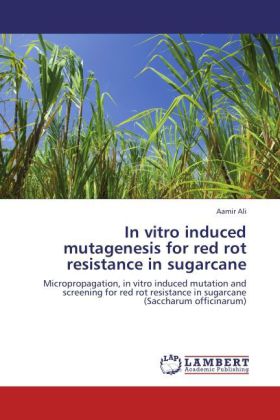 In vitro induced mutagenesis for red rot resistance in sugarcane - Aamir Ali