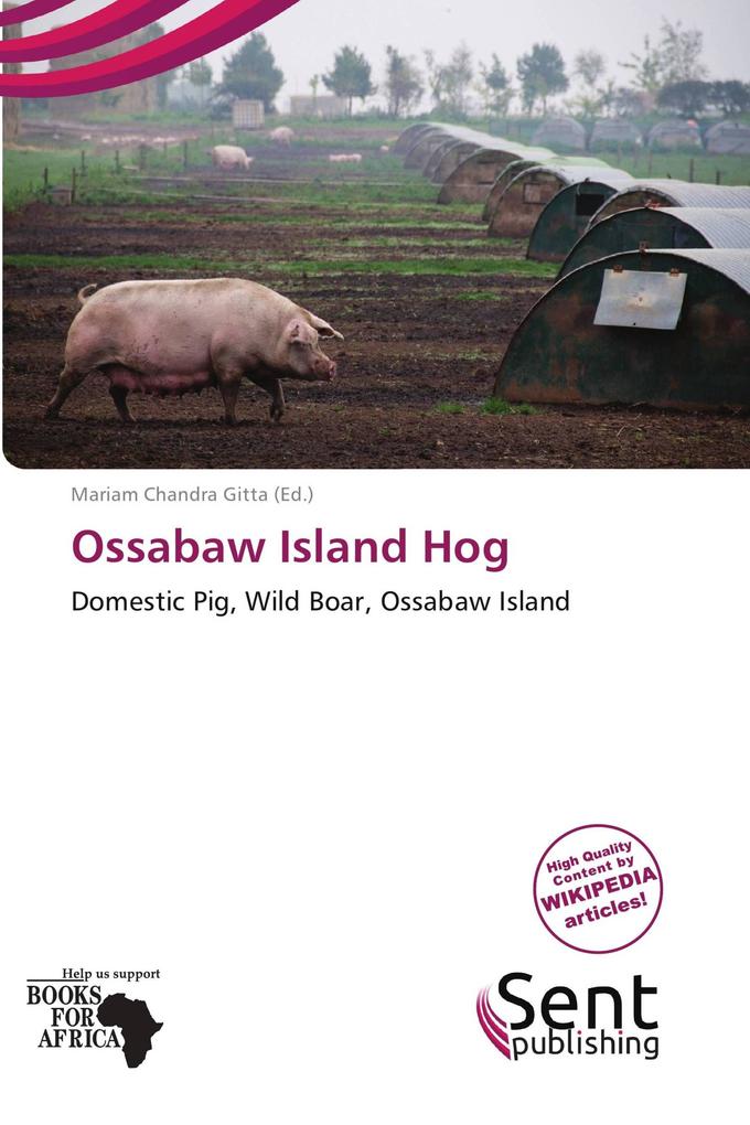 Ossabaw Island Hog