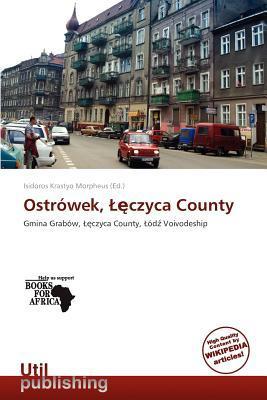 Ostrówek czyca County