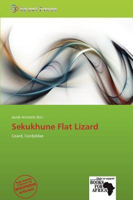 Sekukhune Flat Lizard