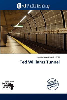 Ted Williams Tunnel