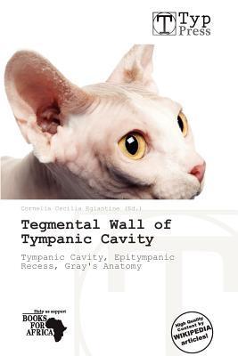 Tegmental Wall of Tympanic Cavity