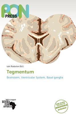 Tegmentum