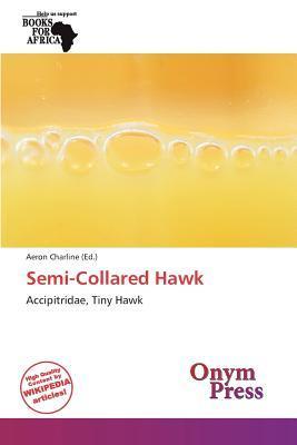 Semi-Collared Hawk