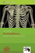 Ouranopithecus