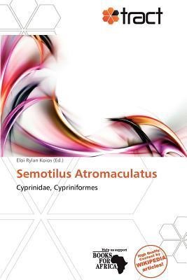 Semotilus Atromaculatus