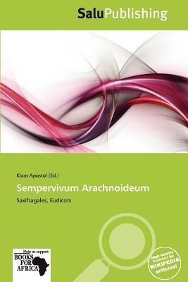 Sempervivum Arachnoideum