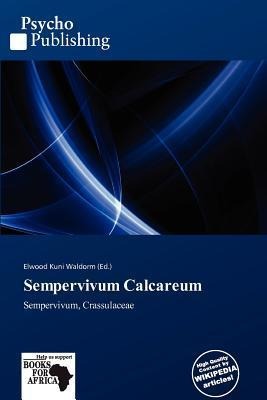 Sempervivum Calcareum