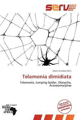 Telamonia dimidiata