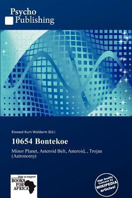 10654 Bontekoe