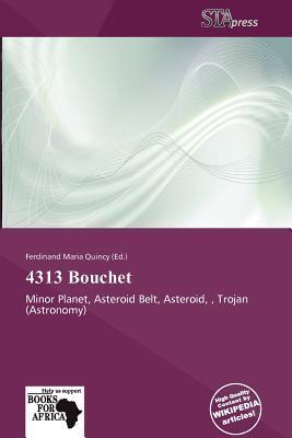 4313 Bouchet