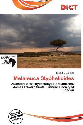 Melaleuca Styphelioides