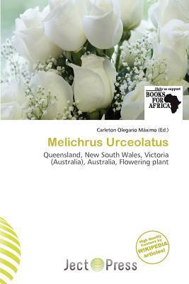 Melichrus Urceolatus