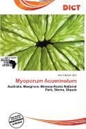 Myoporum Acuminatum