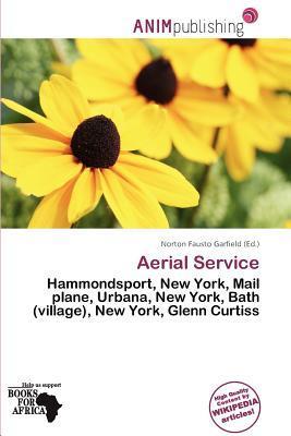 Aerial Service