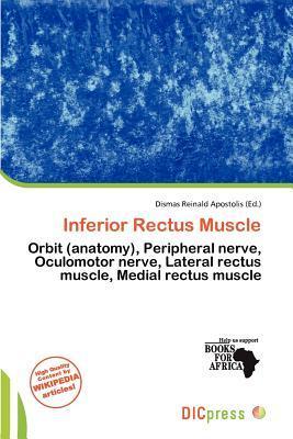 Inferior Rectus Muscle