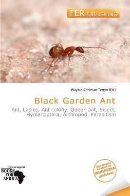Black Garden Ant