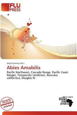 Abies Amabilis