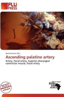 Ascending palatine artery