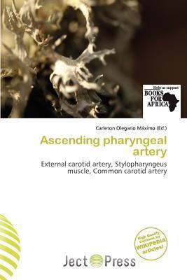 Ascending pharyngeal artery
