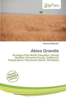 Abies Grandis