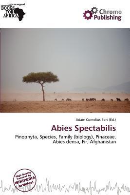 Abies Spectabilis