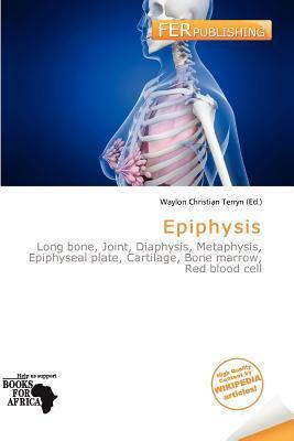 Epiphysis
