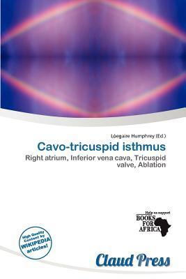 Cavo-tricuspid isthmus