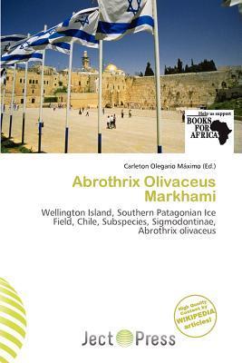 Abrothrix Olivaceus Markhami