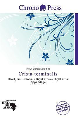 Crista terminalis