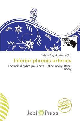 Inferior phrenic arteries