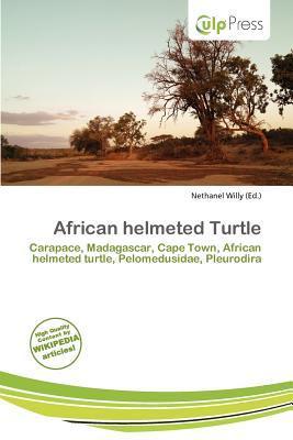African helmeted Turtle