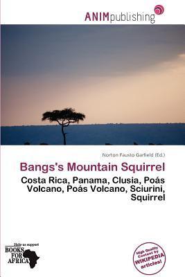 Bangs's Mountain Squirrel