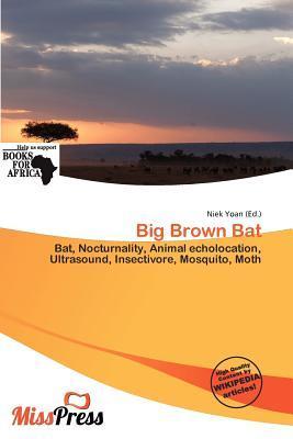 Big Brown Bat