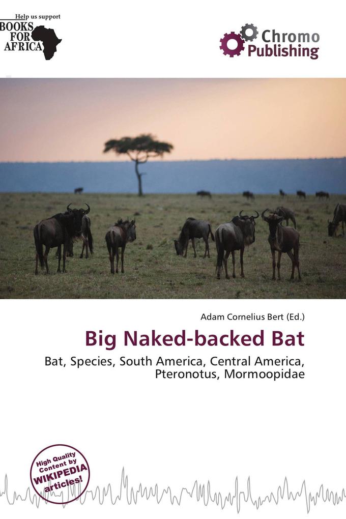 Big Naked-backed Bat
