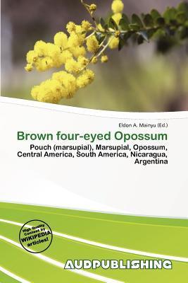 Brown four-eyed Opossum