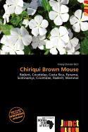 Chiriqui Brown Mouse