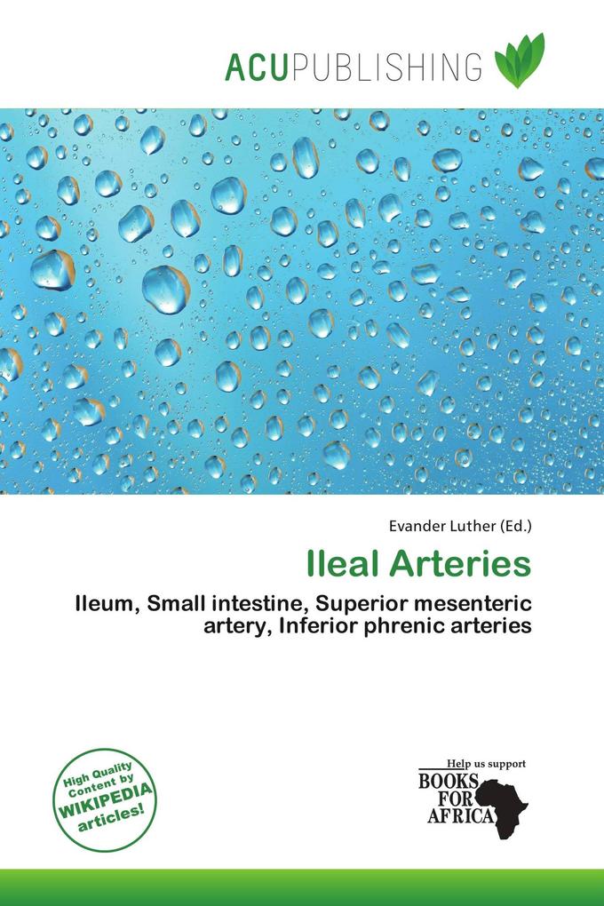 Ileal Arteries
