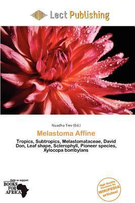Melastoma Affine