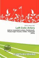 Left Colic Artery