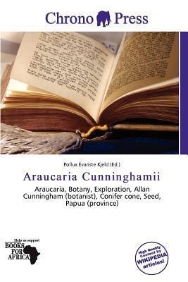 Araucaria Cunninghamii