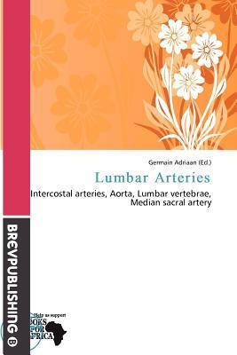 Lumbar Arteries
