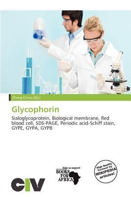 Glycophorin