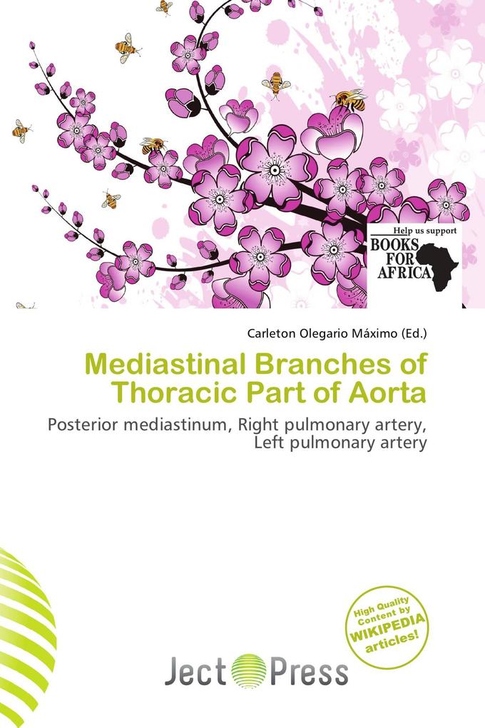 Mediastinal Branches of Thoracic Part of Aorta